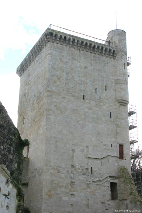 Honnor Tower Lesparre en Mdoc / FRANCE 