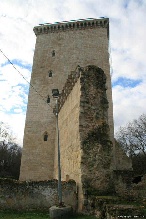 Honnor Tower Lesparre en Mdoc / FRANCE 