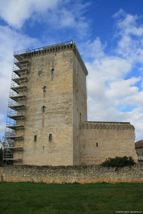 Tour d'Honneur Lesparre en Mdoc / FRANCE 