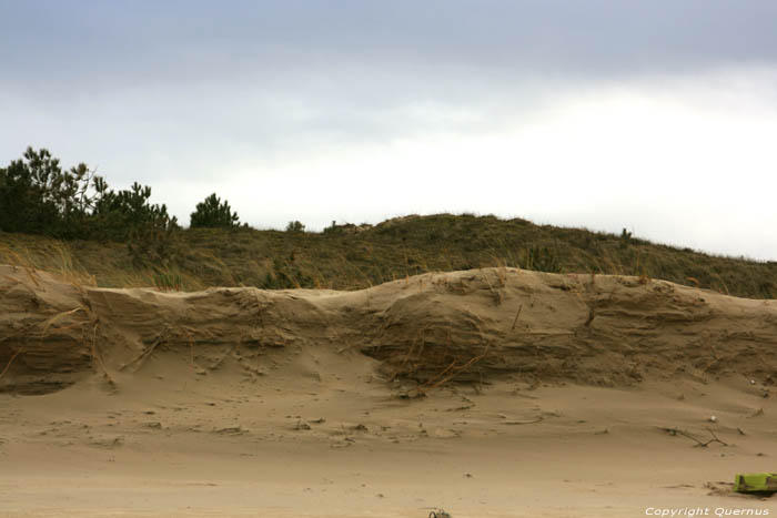 Duinen Le-Verdon-Sur-Mer / FRANKRIJK 