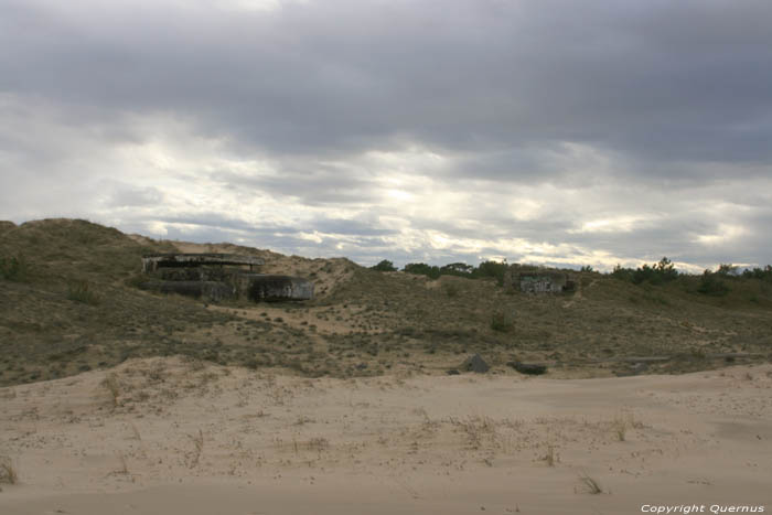 Duinen Le-Verdon-Sur-Mer / FRANKRIJK 