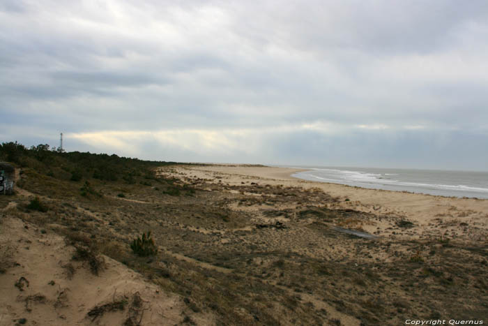 Duinen Le-Verdon-Sur-Mer / FRANKRIJK 