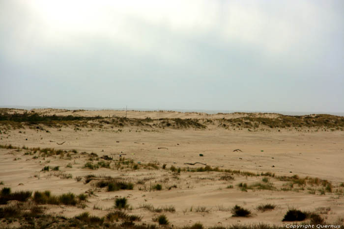 Dunes Le-Verdon-Sur-Mer / FRANCE 