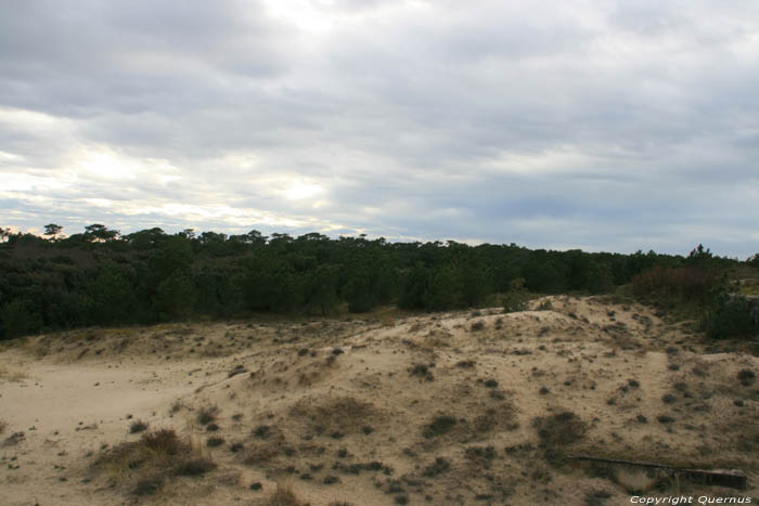 Duinen Le-Verdon-Sur-Mer / FRANKRIJK 