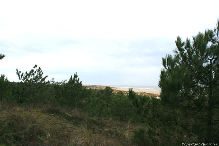 Dunes et mer Le-Verdon-Sur-Mer / FRANCE 