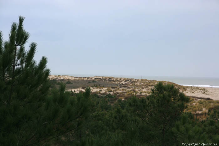 Duinen en zee Le-Verdon-Sur-Mer / FRANKRIJK 