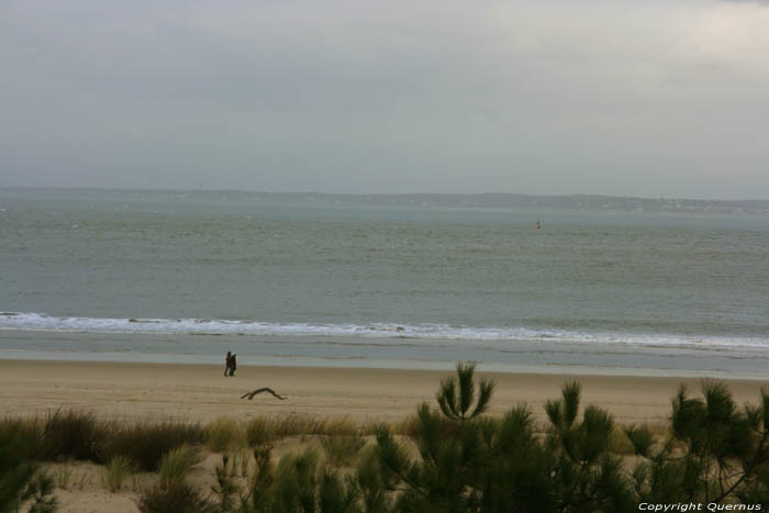 Duinen en zee Le-Verdon-Sur-Mer / FRANKRIJK 