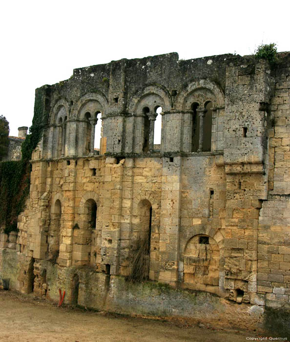 Ruins of Former Cardinal's palace Saint-Emilion / FRANCE 