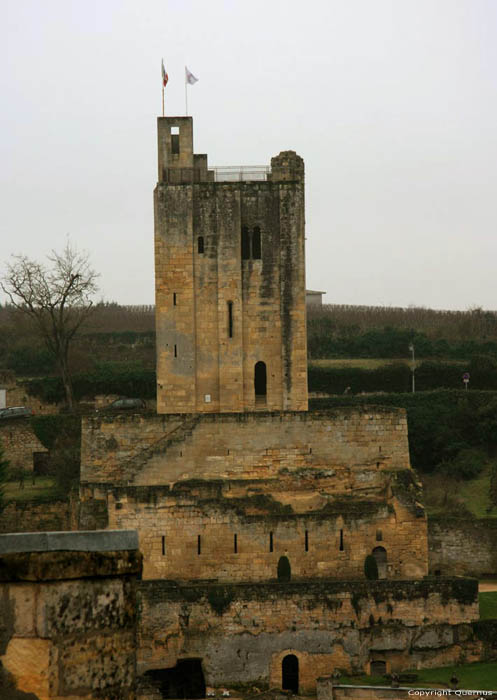 Koninklijke Toren Saint-Emilion / FRANKRIJK 