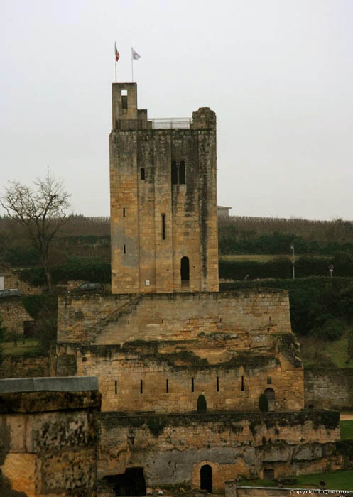 Tour de Roy Saint-Emilion / FRANCE 