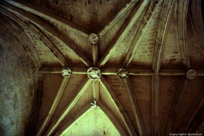 Collgial Saint-milion church Saint-Emilion / FRANCE 