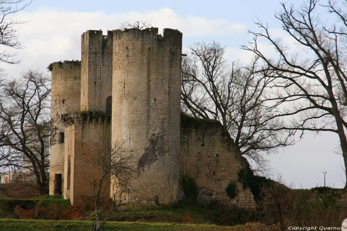 Chteau de Budos Budos / FRANCE 