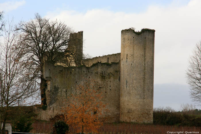 Chteau de Budos Budos / FRANCE 