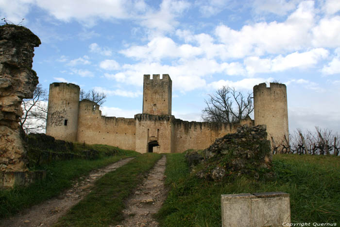 Kasteel van Budos Budos / FRANKRIJK 