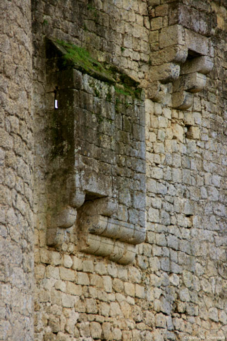 Chteau de Budos Budos / FRANCE 