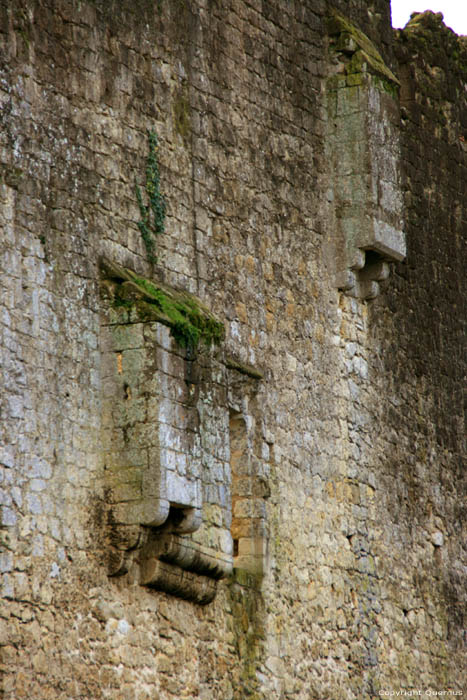 Chteau de Budos Budos / FRANCE 