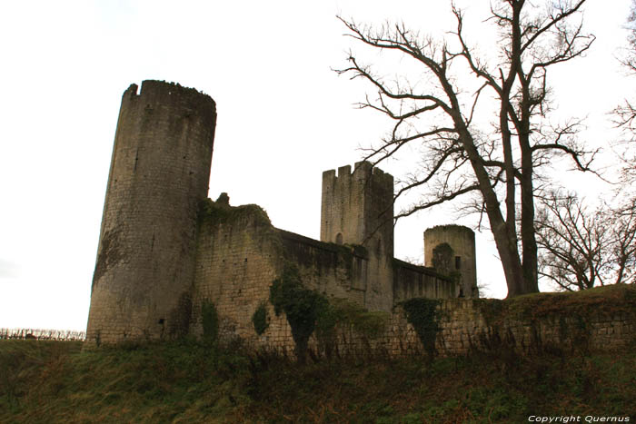 Chteau de Budos Budos / FRANCE 