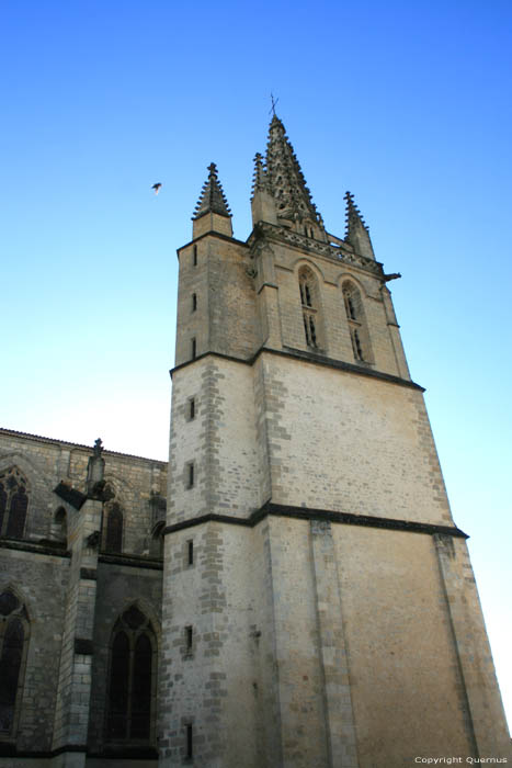 Saint John Baptist Cathedral Bazas / FRANCE 