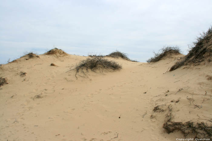 Duinen Slunchev Briag/Sunny Beach / Bulgarije 