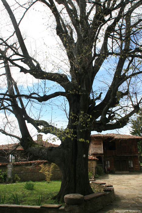 Saint Nicolas' church Zheravna in Kotel / Bulgaria 