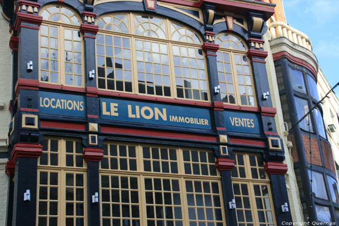 Immobilier Le Lion LILLE / FRANCE 