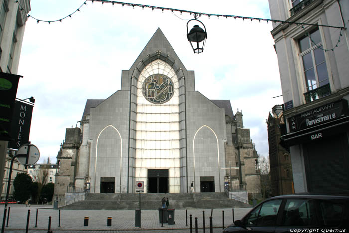 Onze-Lieve-Vrouwe-van-het-Prieelcathedraal RIJSSEL / FRANKRIJK 