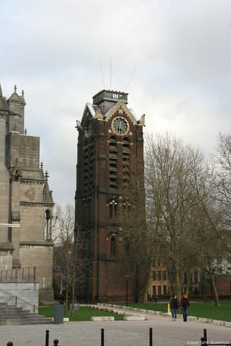 Onze-Lieve-Vrouwe-van-het-Prieelcathedraal RIJSSEL / FRANKRIJK 