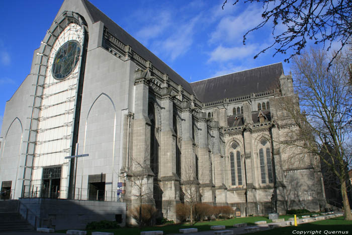 Onze-Lieve-Vrouwe-van-het-Prieelcathedraal RIJSSEL / FRANKRIJK 