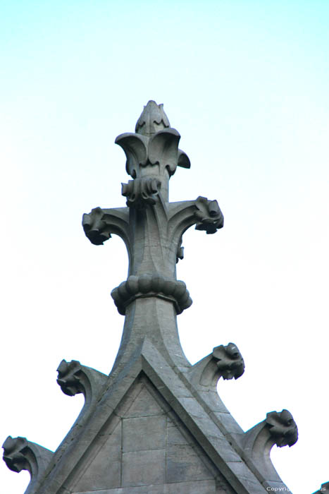 Our Lady of the Arbor 's Cathedral LILLE / FRANCE 