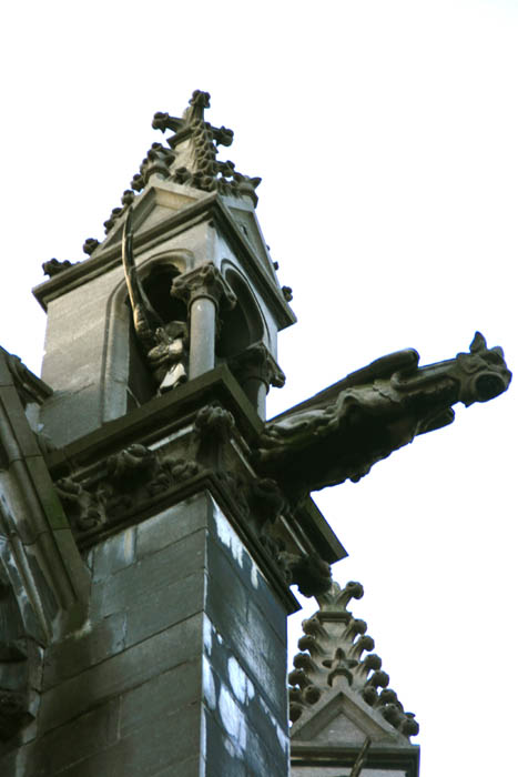 Cathdrale Notre Dame de la Treille LILLE / FRANCE 