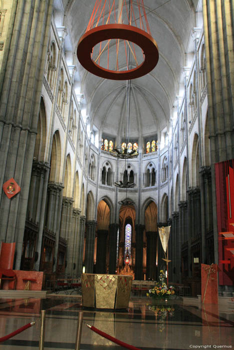 Onze-Lieve-Vrouwe-van-het-Prieelcathedraal RIJSSEL / FRANKRIJK 