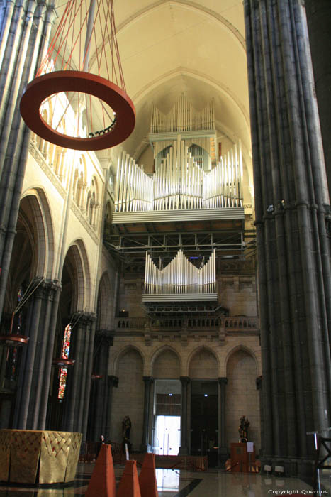 Our Lady of the Arbor 's Cathedral LILLE / FRANCE 