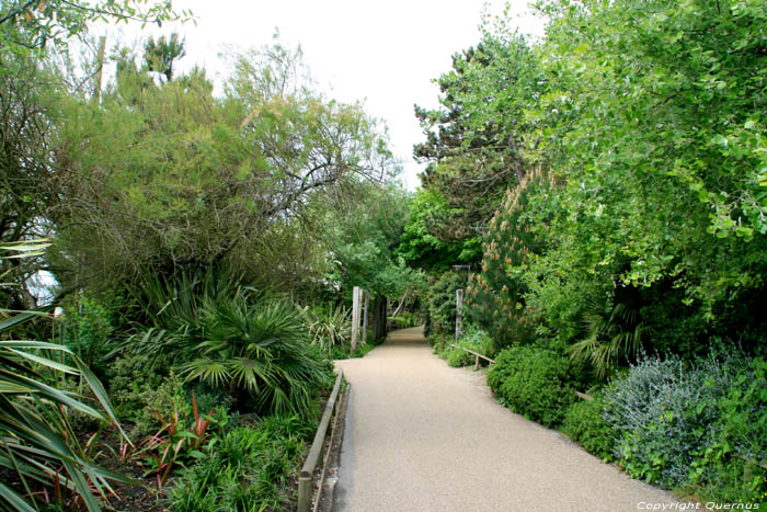 Promenade FOLKESTONE / Angleterre 