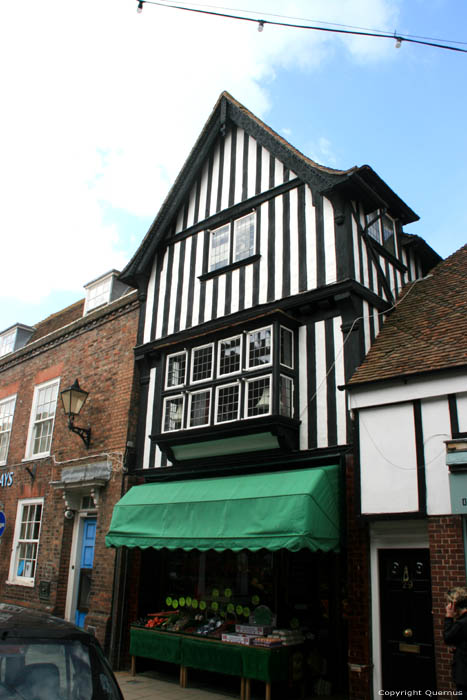 Mais Pan de Bois Rye / Angleterre 