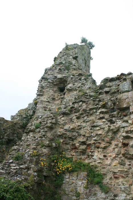 Chteau-Fort de Pevensey Pevensey / Angleterre 