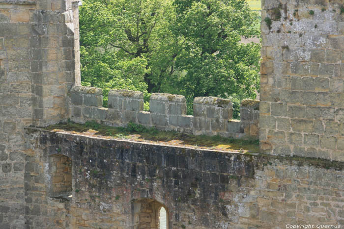 Chteau-Fort de Edward Dalyngrigge  Bodiam Bodiam  Robertsbridge / Angleterre 