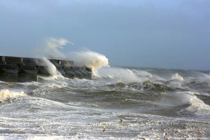 Harbor Breakwater Brighton / United Kingdom 