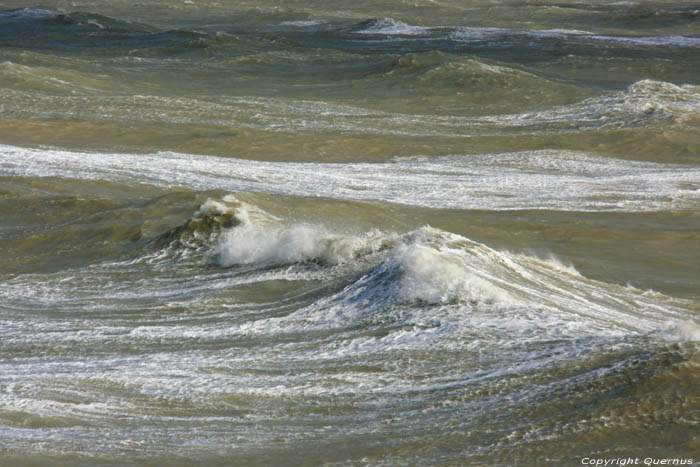 Sea Brighton / United Kingdom 