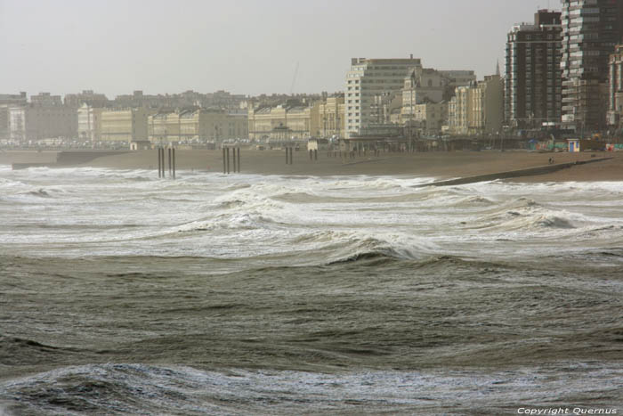 Kustlijn in Westelijke richting van Pier Brighton / Engeland 