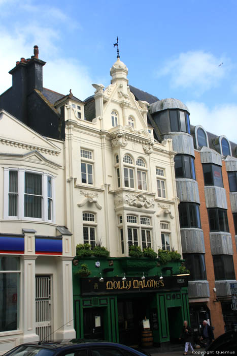 Molly Malone's Brighton / United Kingdom 