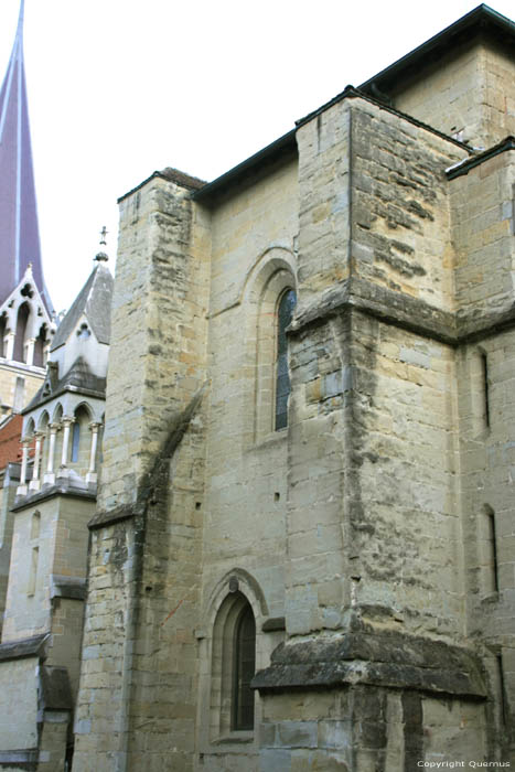 Onze-Lieve-Vrouwecathedraal Lausanne / Zwitserland 