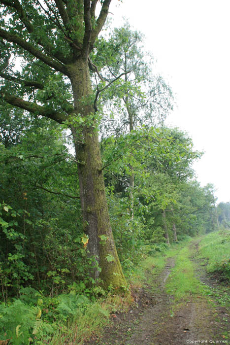 Fort SOULME  DOISCHE / BELGIQUE 