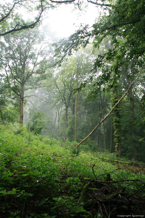 Fort SOULME  DOISCHE / BELGIQUE 