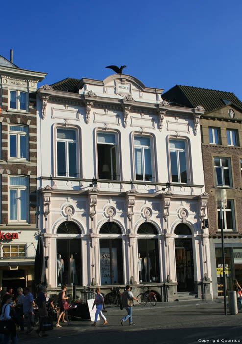 Building 'S-Hertogenbosch / Netherlands 