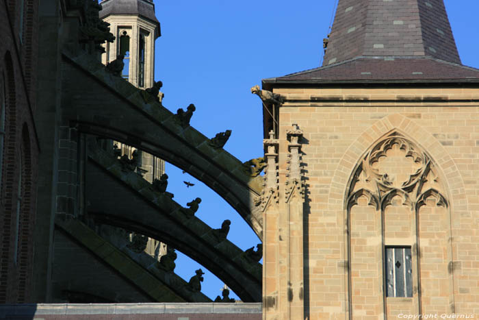 Cathdrale Saint-Jean 'S-Hertogenbosch / Pays Bas 