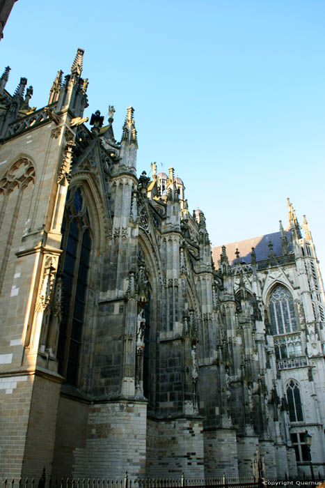 Cathdrale Saint-Jean 'S-Hertogenbosch / Pays Bas 