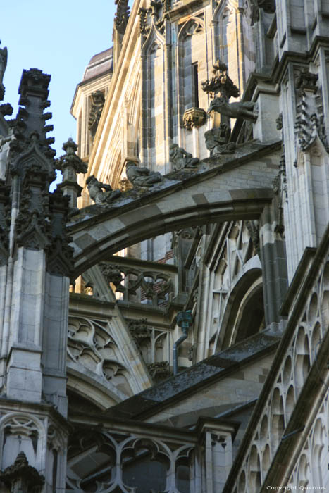 Sint-Janskathedraal 'S-Hertogenbosch / Nederland 