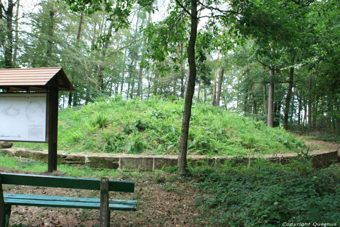 Tumulus Boevange Sur Attert  MERSCH / Luxembourg 