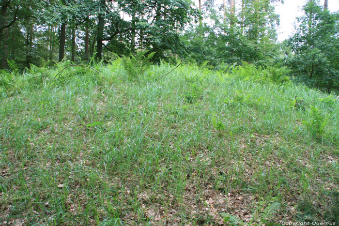 Tumulus Boevange Sur Attert in MERSCH / Luxembourg 