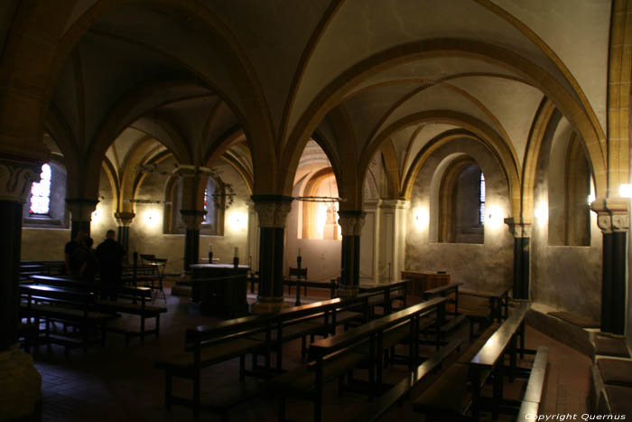 Dom - Saint Peter's Cathedral TRIER / Germany 